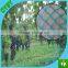 2015 brand new agricultural pe net hdpe bird netting for Vineyard grape planting