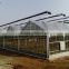 Galvanized Steel Structure Tempered Glass Greenhouse/Hydroponics Greenhouse/Commercial Greenhouse