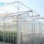 Venlo Type Large Glass Agricultural Greenhouse For Vegetable Growing