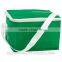 6 cans PVC foldable cooler bag with handle for promtional