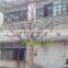 Q123109 white artificial tree no leaves dry tree for decoration hot sale dry tree decoration