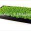 Customed Commerical Plastic Tray for Hydroponic Systems