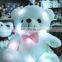 HI CE OEM colorful plush shining led flashing bear toy