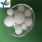 platinum catalyst ceramic beads in bulk China suppliers