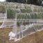 Agricultural polyethylene bird netting, anti-bird monofilament pe net