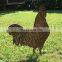 Classic Corten Steel Animal Sculpture