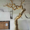   Stainless Steel Golden Tree Sculpture Modern Outdoor Garden