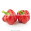 vegetables spicy food frozen red chili with good quality and moderate price in China