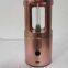 UV Disinfection Light
