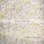 IQF Onion diced 10*10mm/5*5mm