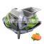 Cucumber Shred Slice Cut Dried Fruit And Nuts Cube Cutter Vegetable Dicer Dice Machine