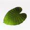 Fancy Artificial Plant Palm Green Leaves Table Placemat for Wedding Decoration