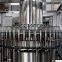 Fruit sugarcane juice packaging machine