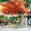 Factory direct wholesale artificial maple tree with red/yellow/green leaves