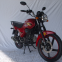 50CC 100CC Street bike professional motorcycles for Russia