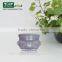 30g 15g unique and luxury cream jar shape , plastic container