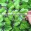 High quality IVY/artificial leaf fence/wall for landscaping