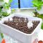 MIni Aquaponicals Hydroponics Aquaponics system for greenhouse/indoor planting system/garden decoration/