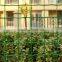 Anping factory best selling cattle fence/field fence