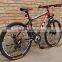 2015 new model cheap mountain bicycle from China(pw-m26113)