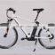 EN15194 approval Excellent electric bicycle/electric bike /ebike