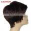 In stock 100% human hair wig, overnight delivery short hair wig at wholesale factory price