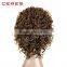 Ceres Hair Heat Resistant Short Afro Kinky Curly Wig for Black Women