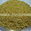 Cassia tora splits CTS and Cassia Tora Seeds From India