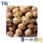 TTN 2015 Chinese Walnut price
