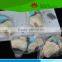 Direct factory supplied human knee joint model