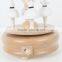 Ballerina Wooden Gift Nature Music Box Parts and base made from real wood
