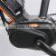 2016 new sytle 36v 250w 8Fun mid motor electric bike with EN 15194