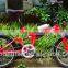 20inch aluminum alloy folding bike/light aluminum alloy folding bike/suspension aluminum alloy folding bike