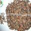 Chinese Cheap Verum Star Anise