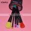 Professinal Beauty Hot New Fashion Wholesale Factory Direct Sales 6Pcs Blush Contour Lip Cosmetics Brush Set