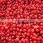 New Crop Frozen Lingonberry