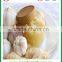 shandong jinxiang fresh and frozen Best quality white garlic