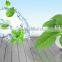 100% Pure essential menthol oil