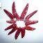 Carefully chosen exported red bullet chilli