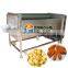 MSTP-1000 High efficiency ginger peeling machine,ginger peeler machine,vegetable washing and peeling machine