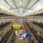 tier-type chicken cage