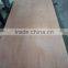 natural bintangor faced furniture plywood