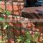50MM garden plant square climbing mesh netting