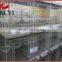 The New Type and Superior Fancy Pigeon Cages for Poultry Farm