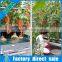 On Sale 5% off Factory Direct Supply Hydroponic for Greenhouse