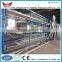 automatic layer chicken cage system/broiler chicken cage