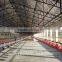poultry Equipments