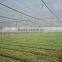 with UV resistance 50mesh anti insect netting