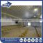 Broiler Poultry Farm House Design/Chicken Shed