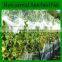 HDPE Virgin Material Anti Hail Net for Agricultural /bird Net